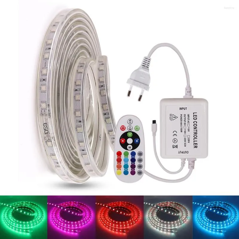 Paski RGB LED Pasek Light UE 220V-240V Waterproof 24key zdalny 60LEP/M Lina taśmowa do dekoracji domowej