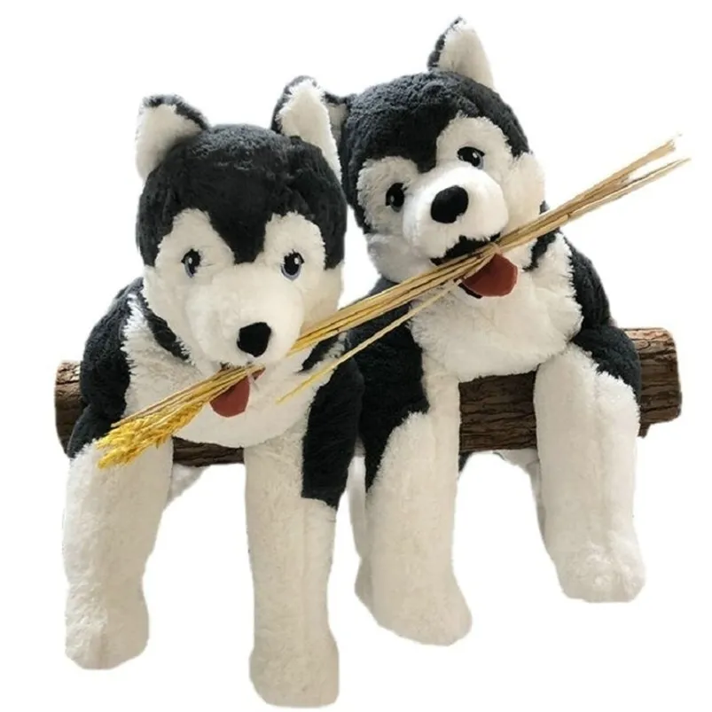 Poupées en peluche Mignon peluche LIVLIG Husky chien jouet oreiller en peluche loup de Sibérie longue peluche réaliste chien poupée jouets cadeau d'anniversaire pour les enfants 220927