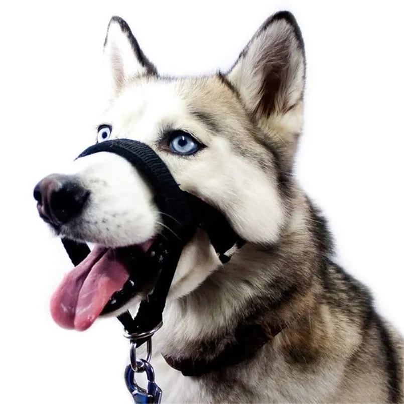 Colares de cachorro colares de focinho cinturão de treinamento ajustável máscara de tração de animais de estimação Acessórios para animais de estimação Leia 220923