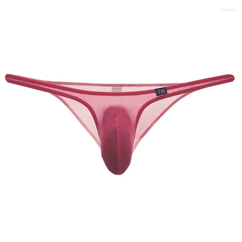 Underpants Gauze Transparent Breathable Men's Tight Briefs Male Sexy Underwear U-Convex Bag Comfortable Low Waist Small