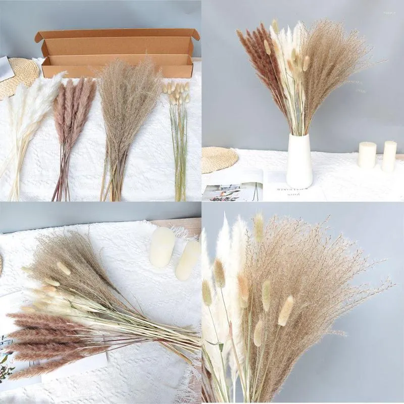 Decorative Flowers Decor Natural Material Plant Stems Shooting Props Reed Dried Bouquets Pampas Grass Tails Real Flower