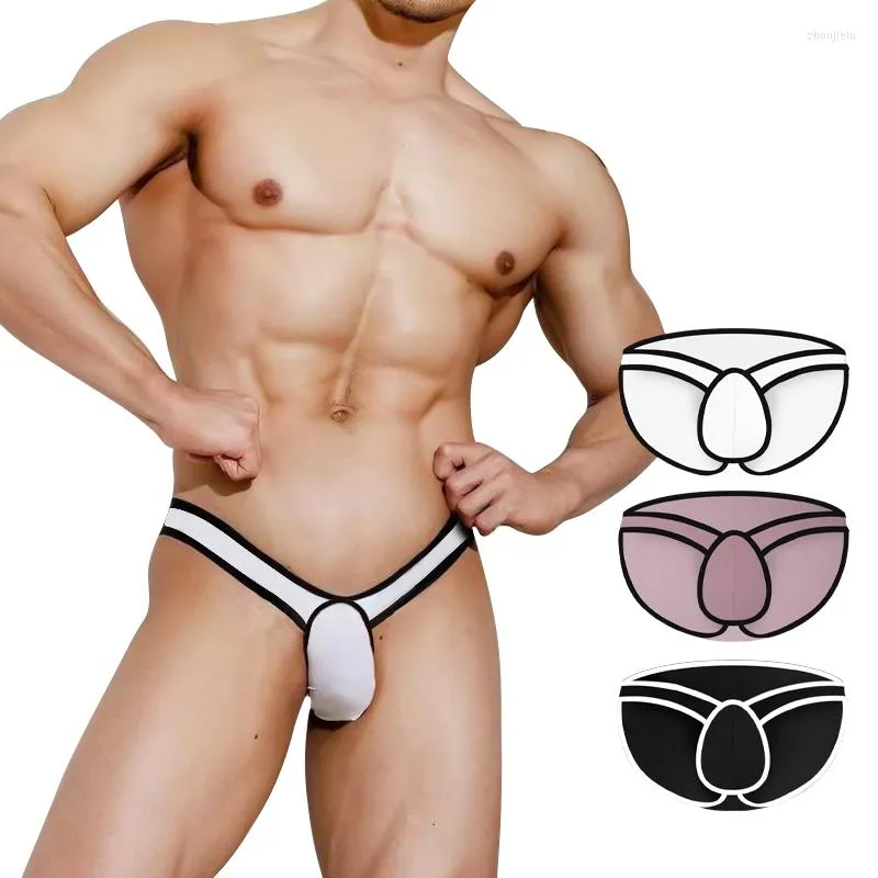 Slip Modal Gay homme sous-vêtements grand pénis hommes slips confortable hommes Sexy culotte taille basse Sissy Ropa intérieur Hombre