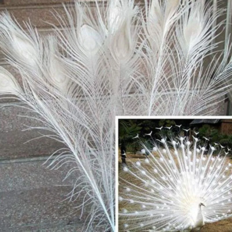 Peacock Feather Decoration  Jewelry Handicraft Accessories - 50