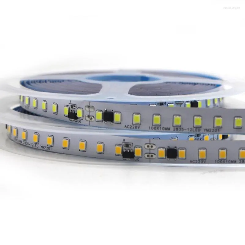 Streifen AC 220 V 230 V 240 V LED-Streifen 2835 SMD 120 LEDs/m Hochhelles, flexibles Seil, Band, Licht, Lampe, warm/4000 K/kaltweiß/400