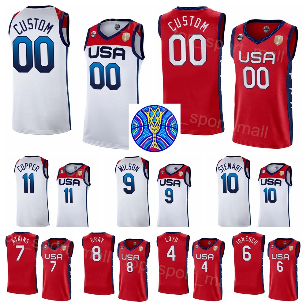 Tryckt 2022 FIBA ​​Women American Basketball Jersey World Cup US 15 Brionna Jones 14 Betnijah Laney 13 Shakira Austin 12 Alyssa Thomas 11 Kahleah Copper 4 Jewell Loyd