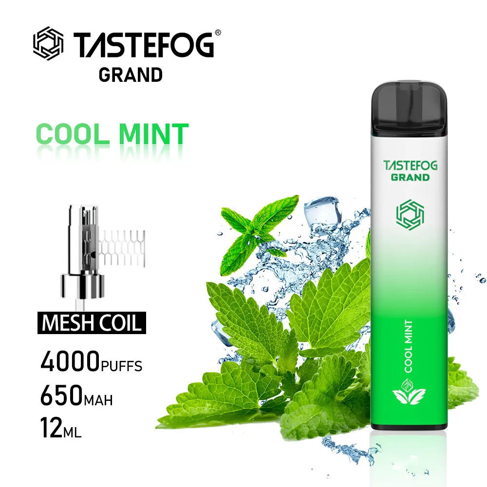 DX gros Tastefog 4000 bouffées Vape jetables rechargeable E cigarette 20 mg Nic avec certificat TPD