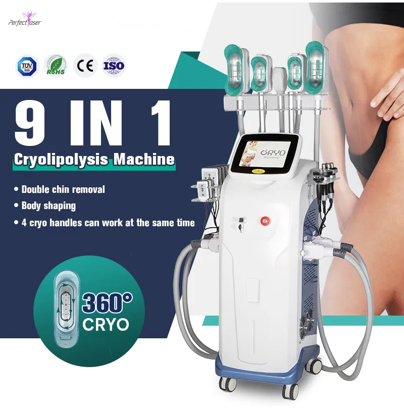 Cryolipolyse Vetbevriezingsmachine EMS + RF Huidverstrakking Cryo 360 Vetverwijdering Radiofrequentie Laser Lipo Gewichtsverlies Anti-verouderingsmachine