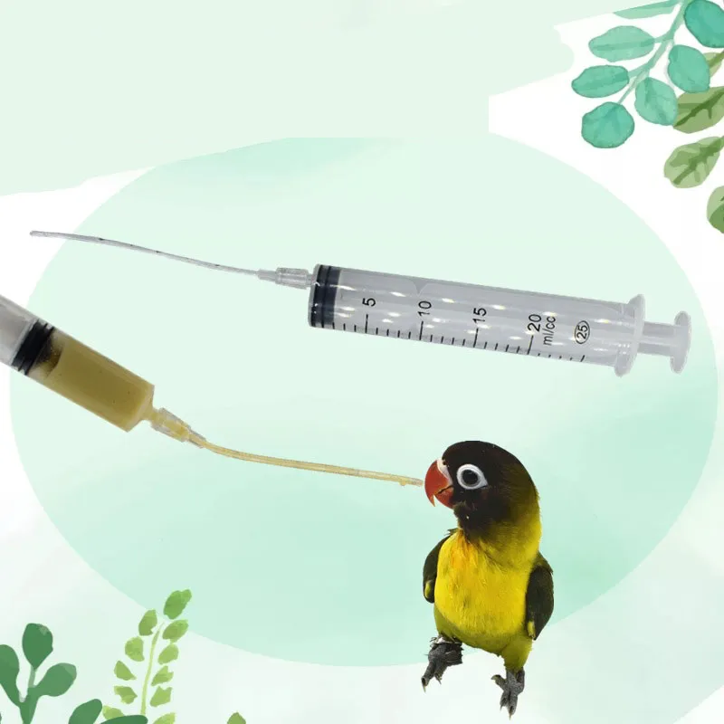 Baby f￥gel matare papegoja matning sprutan ammande behandling injektion vattenmj￶lkmedicin f￥gelf￶rs￶rjning 10/20 ml med rostfritt st￥lsked