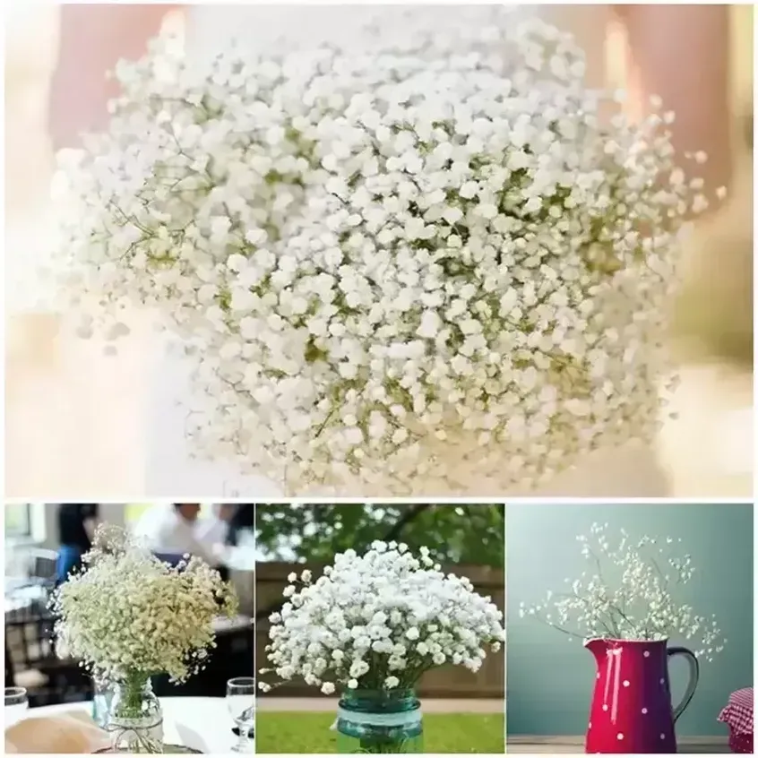 Singel White Endas Gypsophila Baby Breath Artificial Fake Silk Flowers Plant Home Wedding Decoration FY3762 SXAUG20