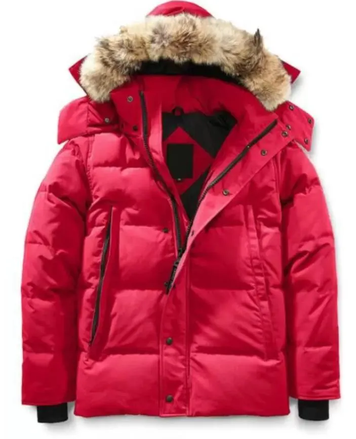 Discount doudoune top