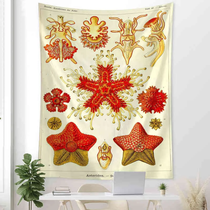 Tapis mural de vie Marine, étoiles, coquillages, sorcellerie suspendue, Style bohème, décor de fond de chambre à coucher d'artiste, J220804