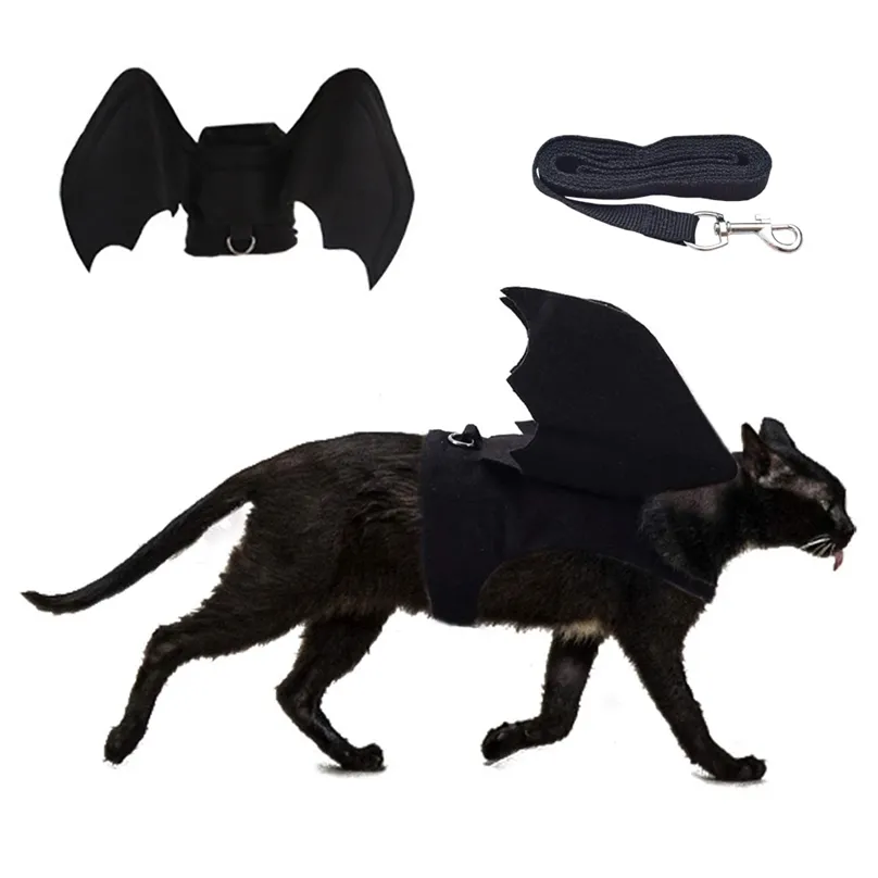 Trajes de gato Halloween Harness Bat Wings Pet para cães pequenos s Hallow 220826