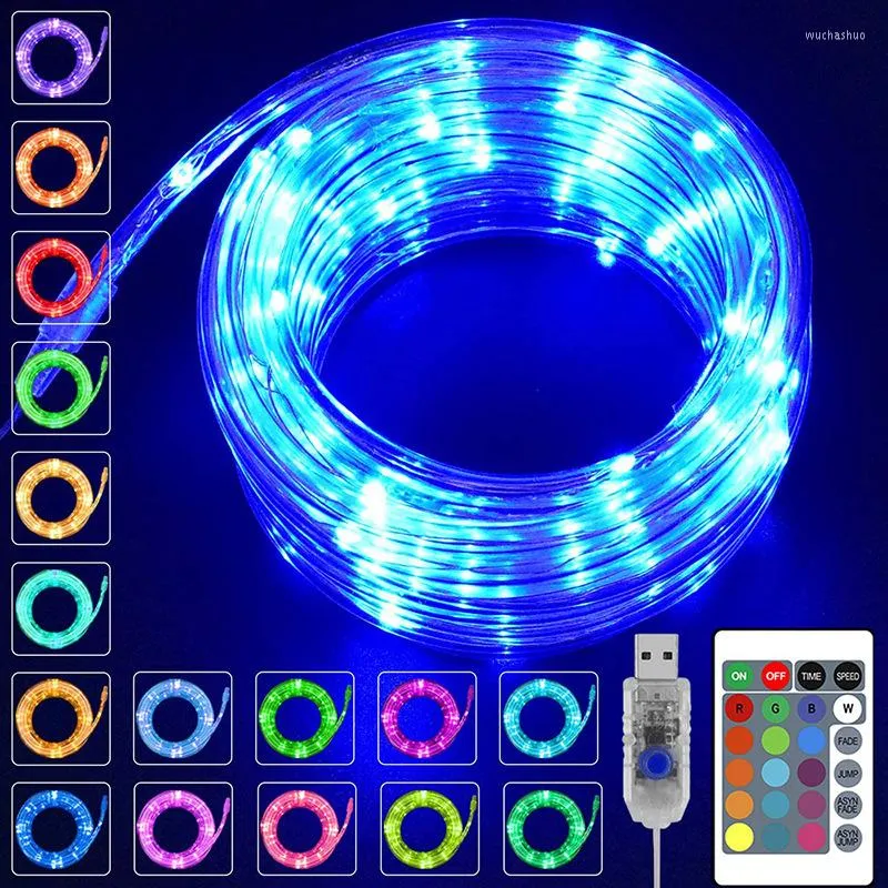 Saiten 12/22M LED Outdoor Wasserdichte Rohr Seil Streifen String Licht USB Fernbedienung RGB Lampe Girlande Hochzeit Hause decor Fee