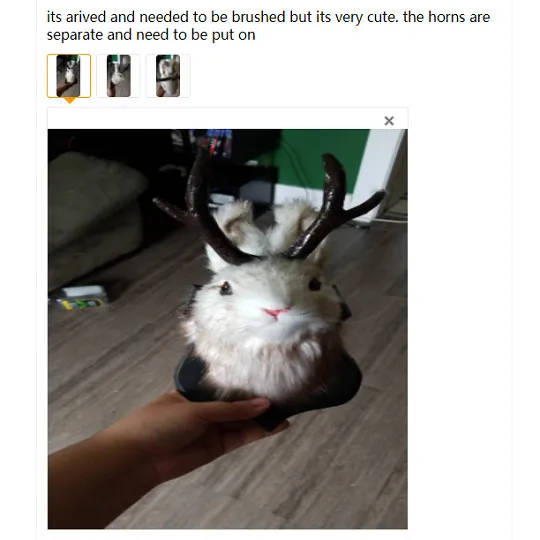 Decorative Objects Figurines Antlers Rabbit Head Statue Home
