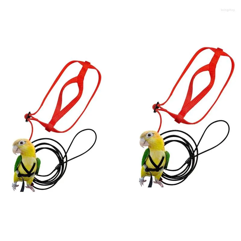 Dog Collars 2 Pcs Pet Bird Harness And Leash Adjustable Parrot Anti-Bite Leash-S & M