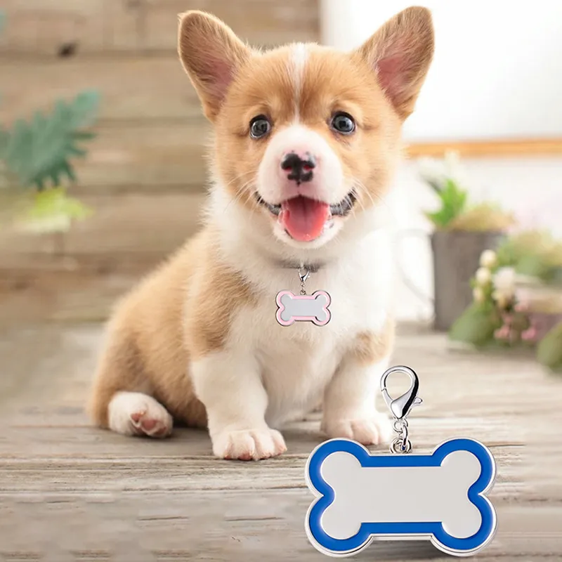 Zinklegering Benformad hundkort tagg kreativ söt DIY Personliga krage Taggar Pendants Pet Dogs Cards Tag Accessories Th0174
