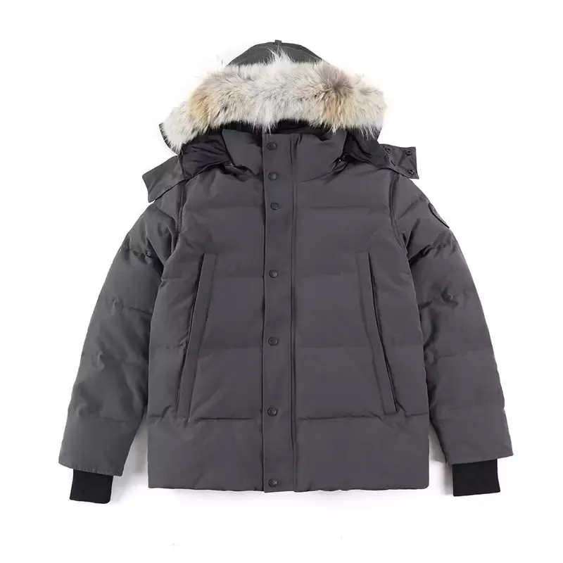 Haute qualité hommes doudoune g manteau vraie grande fourrure de loup C Wyndham pardessus vêtements style de mode décontracté hiver vêtements d'extérieur parka