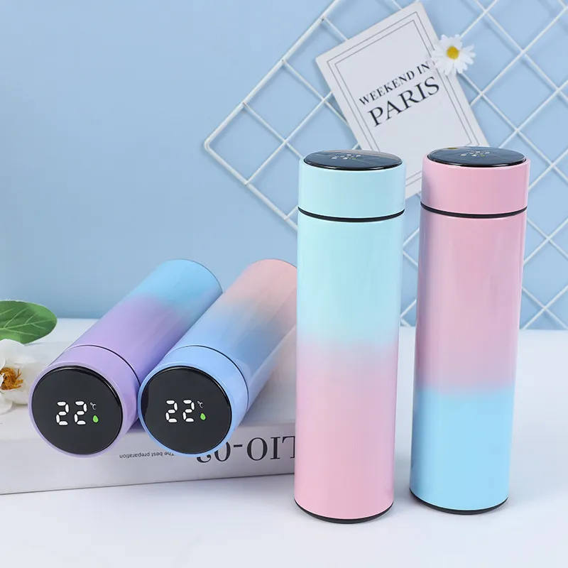 Thermos Tumbler 500 ml Temperatur Display Smart Water Bottle 304 Rostfria termiska muggar Sportskoppar med låda