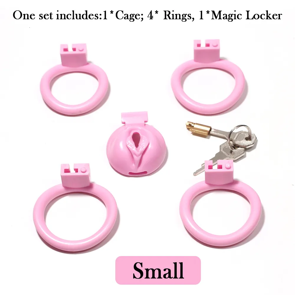 Cockrings Sissy BDSM Pussy Cock Cage Small Male Chastity Devices Bondage  Lock Slave Penis Ring Sex Shop 18 Gay Ladyboy Toys 221130 From Shen8416,  $24.2 | DHgate.Com