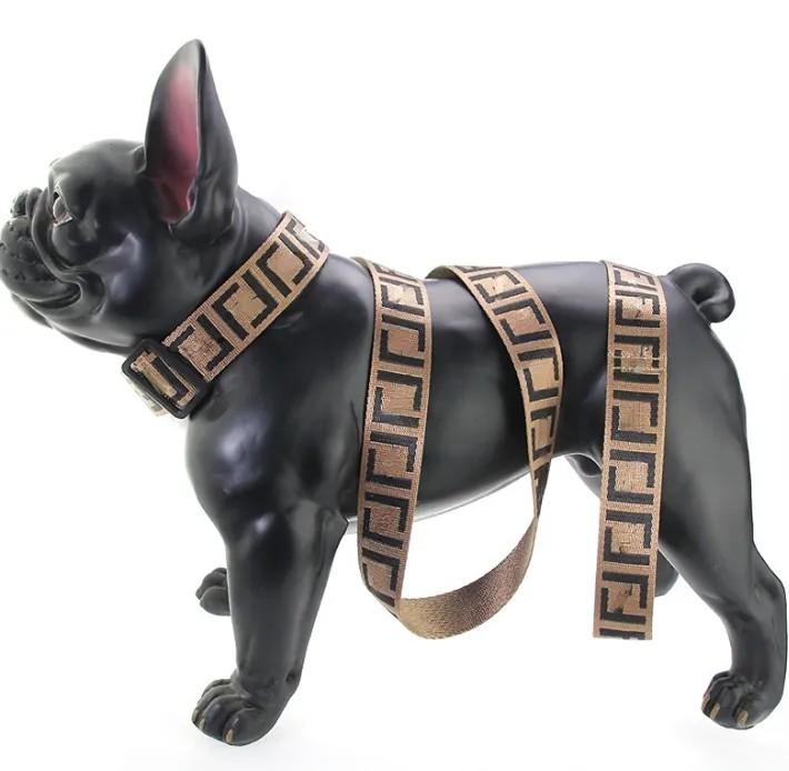 Lettres européennes et américaines Collier de chien de compagnie grande corde de maintien de la main pour animaux de compagnie moyen et petit chien