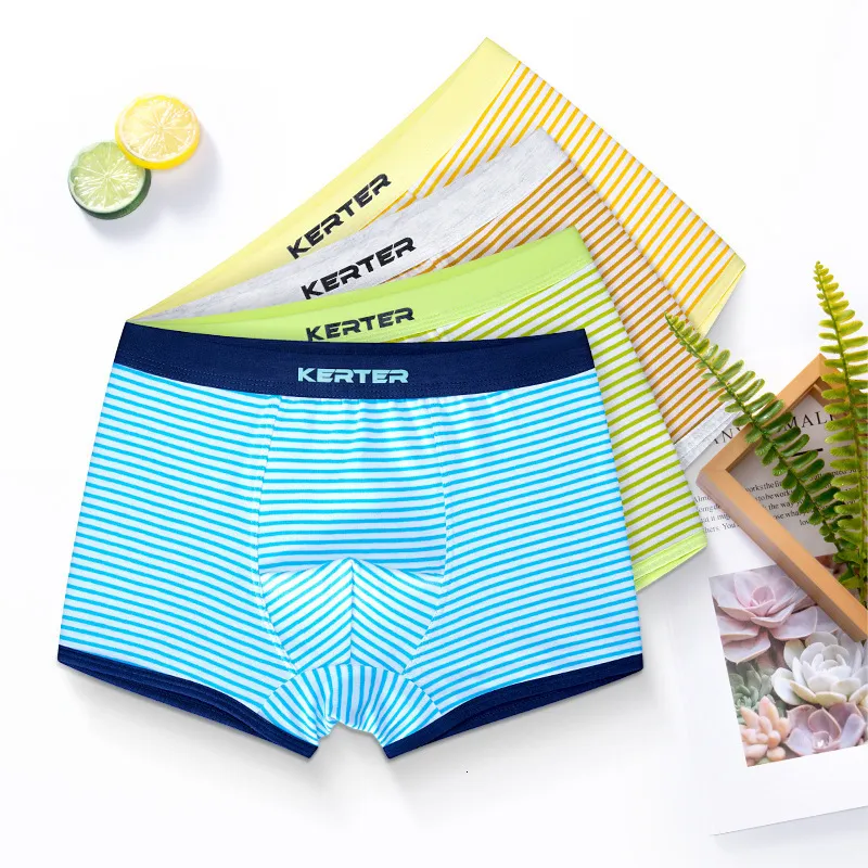Breathable Cotton Stripe Briefs For Boys Set Of 4 Underwear Panty Shorts In  Boxer Enfant Garcon For 2 14Y Boys Child 221205 From Deng08, $13.97