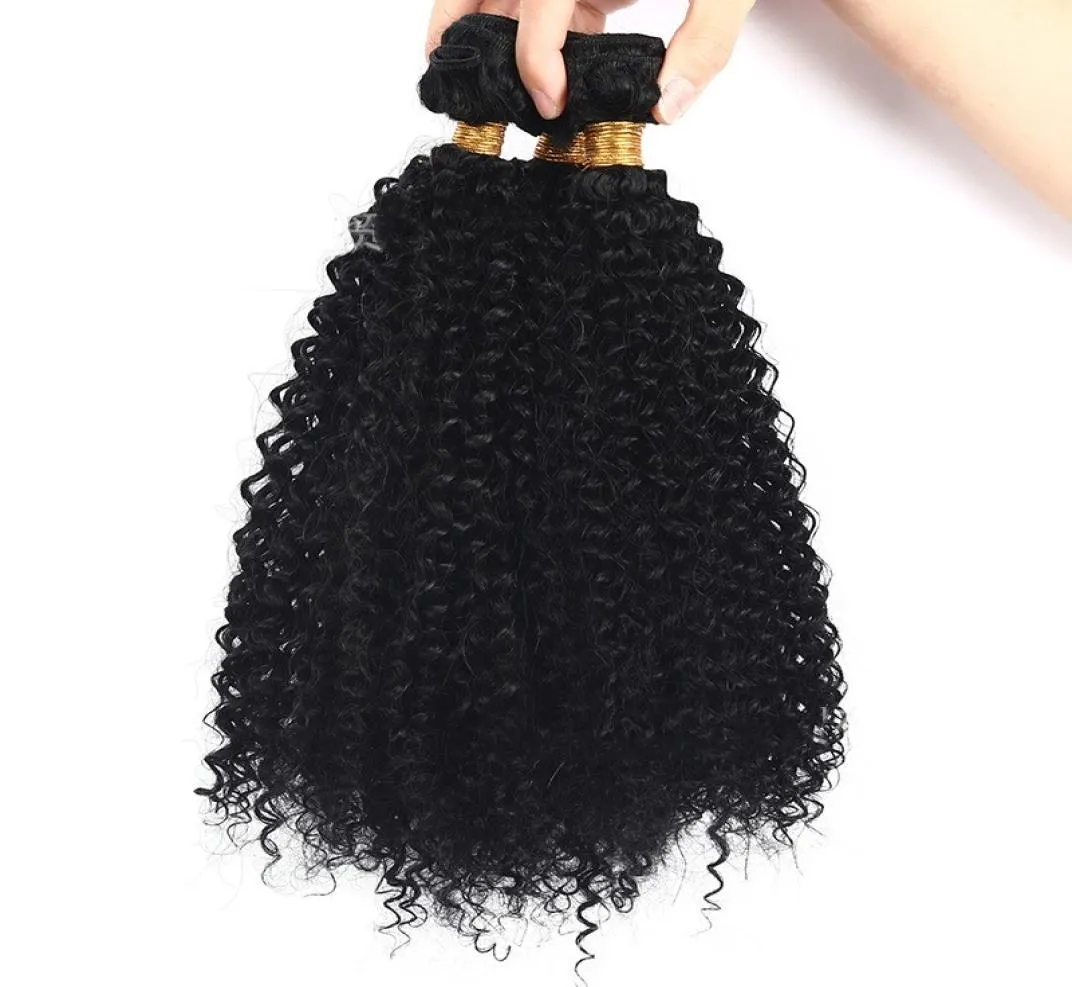 4b 4c Bulk Human Hair for Braiding Peruvian Afro Kinky Curly Bulk Hair Extensions No Attachment FDSHINE2724778