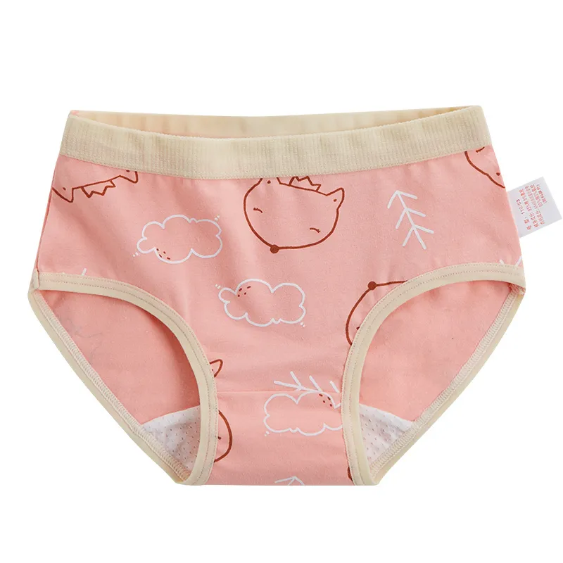 SMY Kids Girls Underwear Cartoon Animal Print Cotton Teen Girls Panties 2-12  Years Kids Shorts (4 PCS)