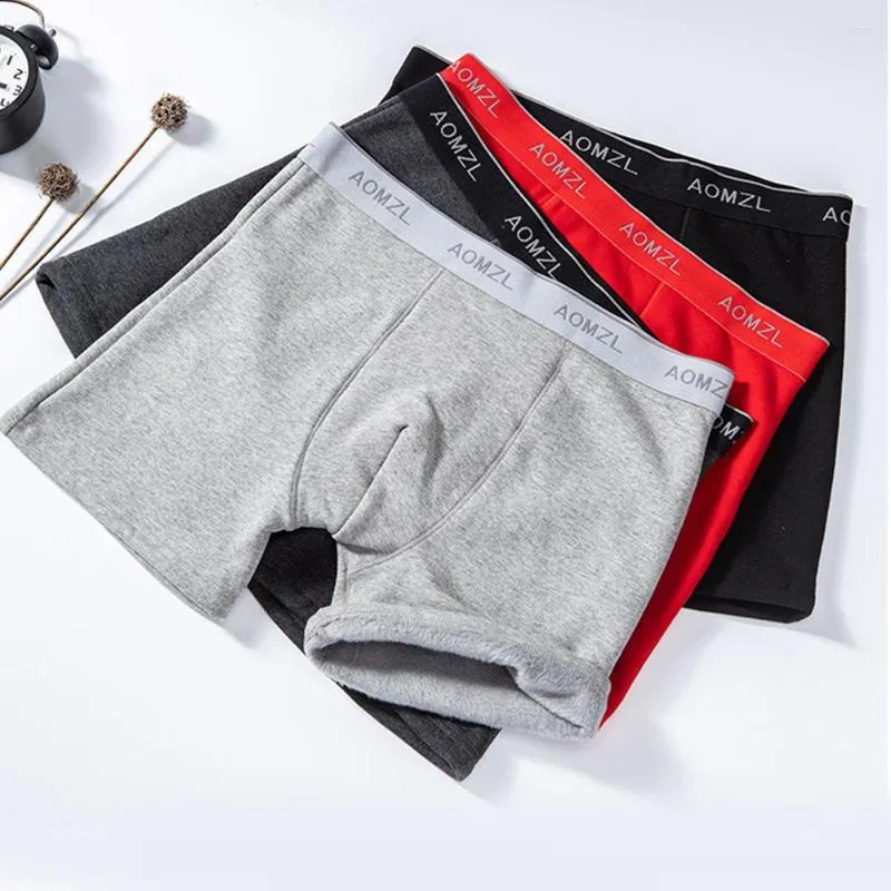 Underpants Men Fleece Boxer Briefs Winter Warm Underwear Stretch Breathable Male Trunk Shorts Comfort Man Casual Panties L-3XL