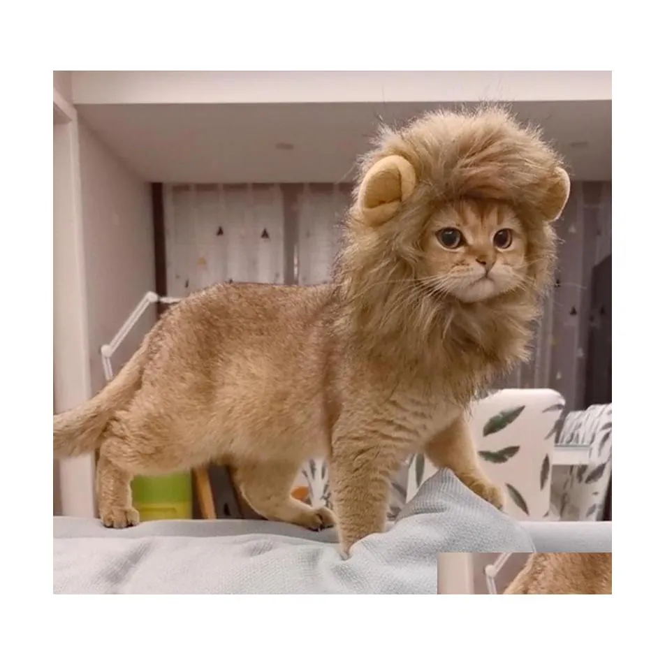 Odzież dla psa odzież psa Lion Kostium Koty Koty