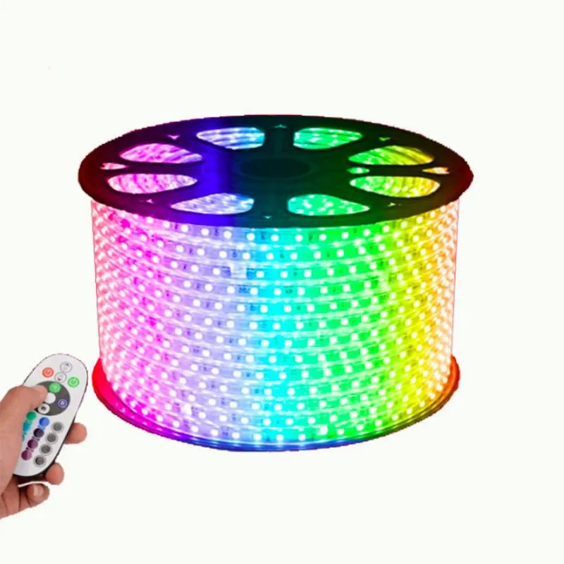 60pcsm LED 스트립 램프 220V110VIP65 방수 RGB 변경 가능한 LED 스트립 조명 실외용 컨트롤러가 있습니다.