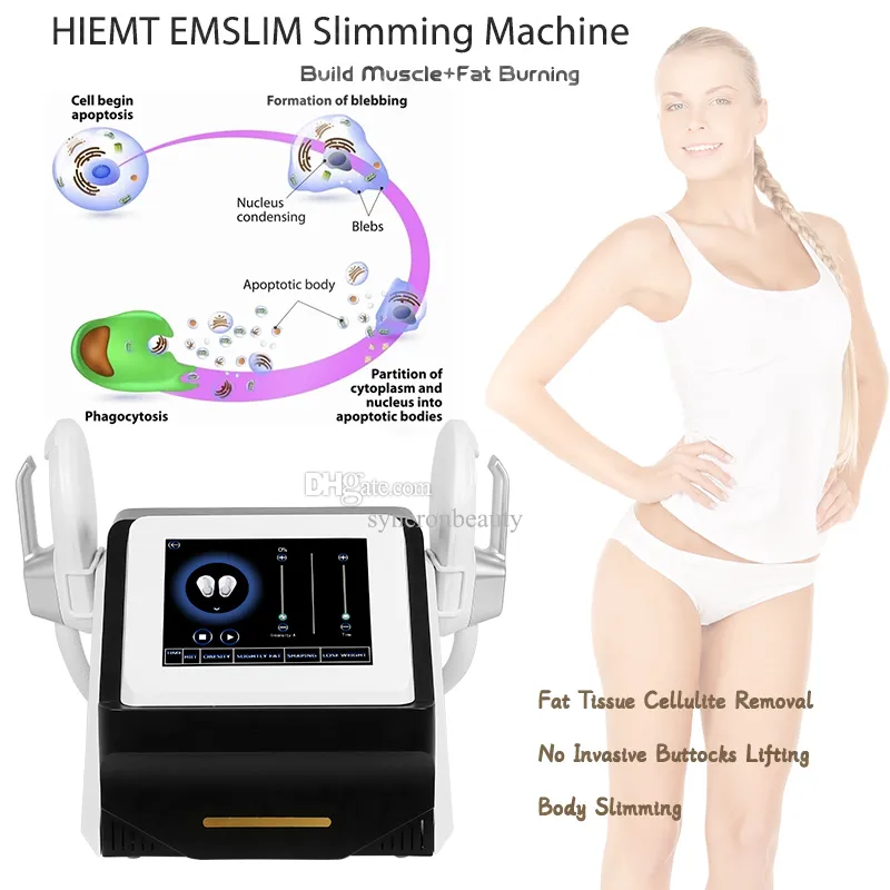 RF Emslim Eletromagnético Construção de Músculos de Slimming Perda de gordura EMS Máquina do corpo Aprovação CE Aprovação 2 anos Garantia