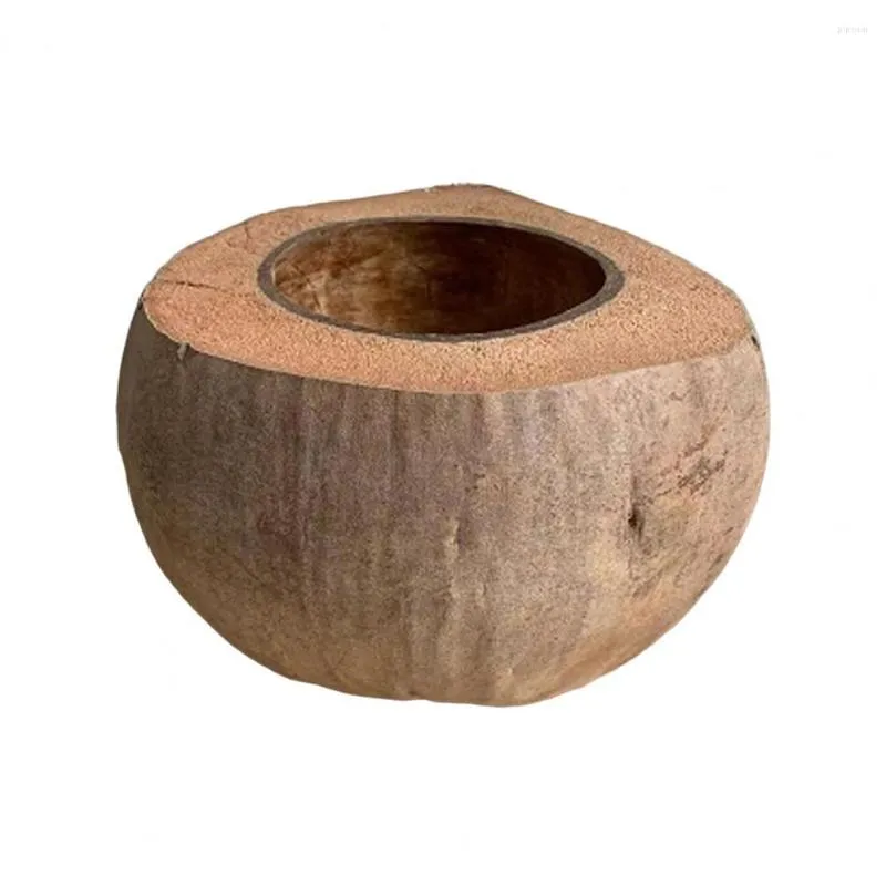Tigelas tigelas práticas de coco tigela de coco ecológico