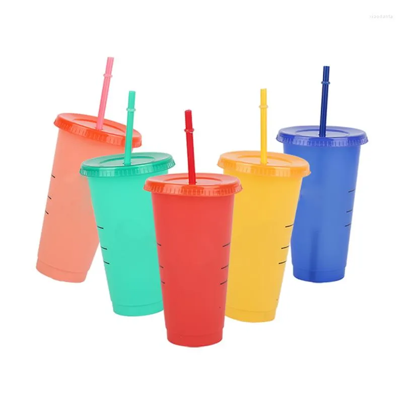 Mugs 710ml Straw Cup With Lid Color Changing Coffee Logo Reusable Cups Plastic Tumbler Matte Finish Mug