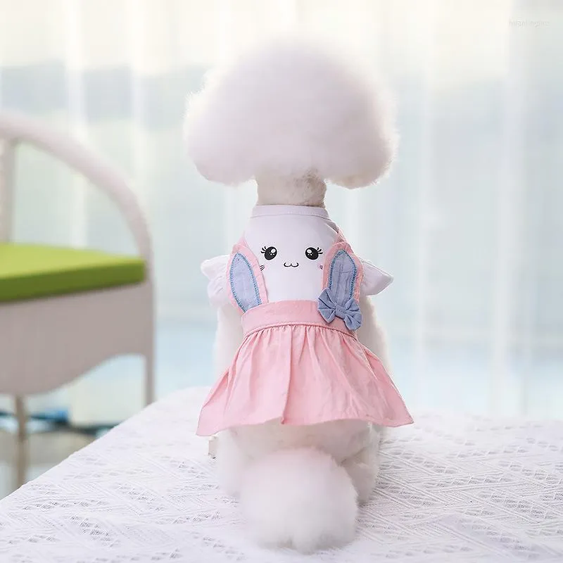 Dog Apparel Cartoon Princess For Dogs Dress Printing Kawaii Pet Clothes Cat Puppies Spring Summer Fashion Girls Pink Products 2022