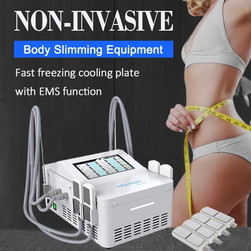 Cryo Cryolipolysis Fat Freeze Machine Trattamento cellulite EMS Stimolazione muscolare elettrica Shaping Vest Line Dispositivo per salone dimagrante