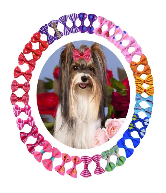 Dog Grooming Bows with Rubber Bands Dogs Topknot Cute Pet Hair Clips Pets Cat Little Flower Bow gifts 36 H19117218