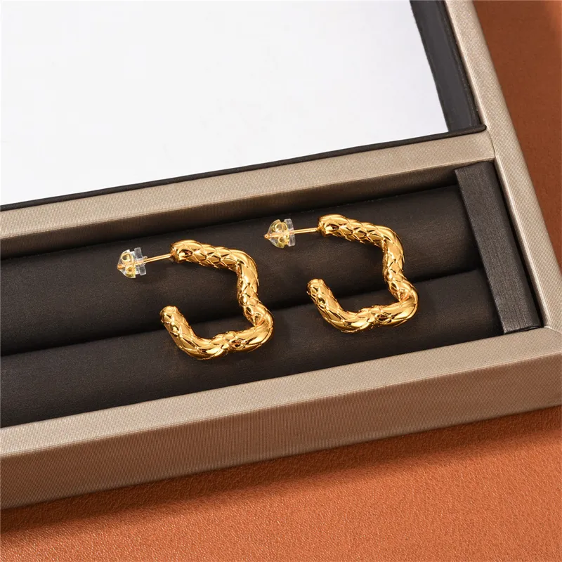 Ins Snake Scale Texture S925 Silver Needle Stud Earrings Women's Fashion Street All-Match utsökta smycken Tillbehör