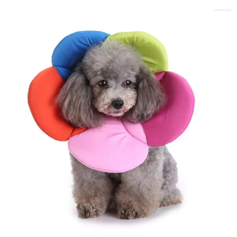 Dog Collars Pet Puppy Cat Circle Flower E-Collar Recovery Cone Adjustable Neck Recover Collar Protection For S/M/L