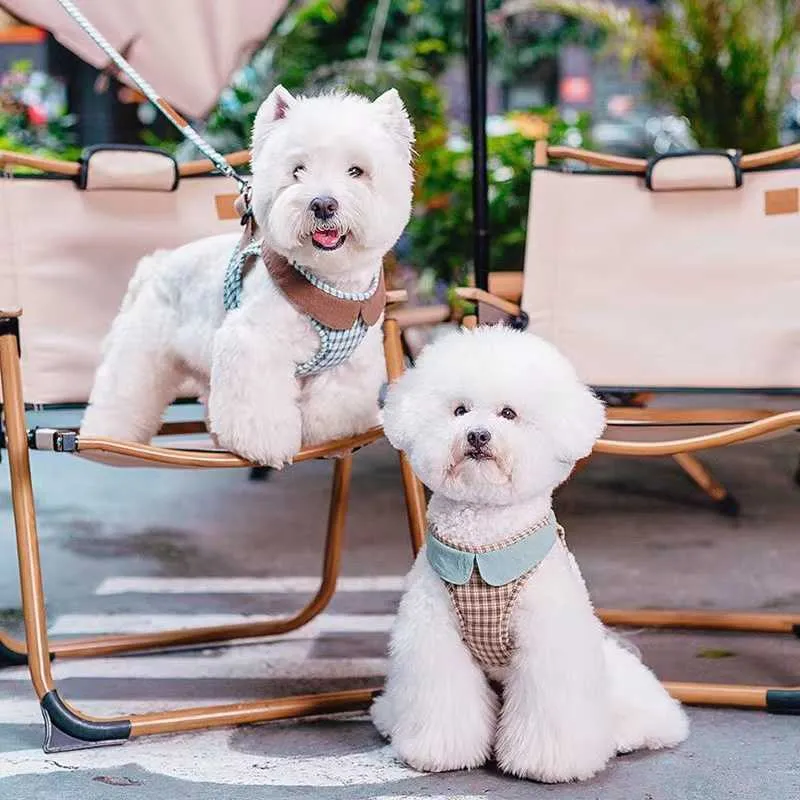 犬の首輪のリーシュ格子縞のペット犬のハーネスとひも状の子犬のベストハーネスは、小型犬の散歩トレーニングアクセサリーのためのかわいい襟付きのかわいいカラーとヨークフレンチブルドッグT221212