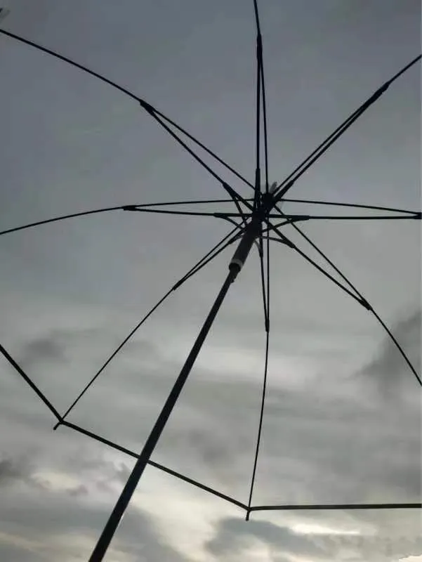 Guarda-chuvas de golfe à prova de vento Guarda-chuva elegante transparente bela casa e jardim organização de limpeza