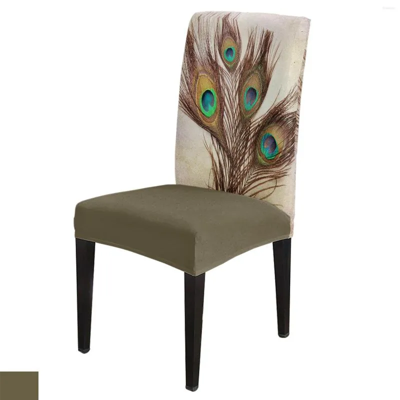 Chair Covers Peacock Feathers Vintage Spandex Cover Office Banquet Protector Stretch For Dining Room