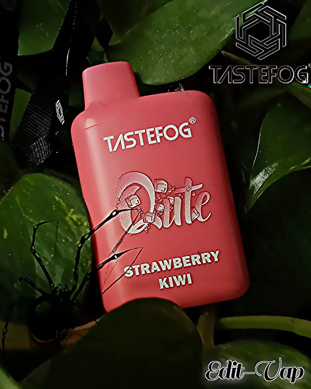 Best Taste Wegwerp Vapes Tastefog Qute 800Puff E-Cig 2ml 2% 550mAh TPD Certificaat 15 Smaken Groothandelsprijs