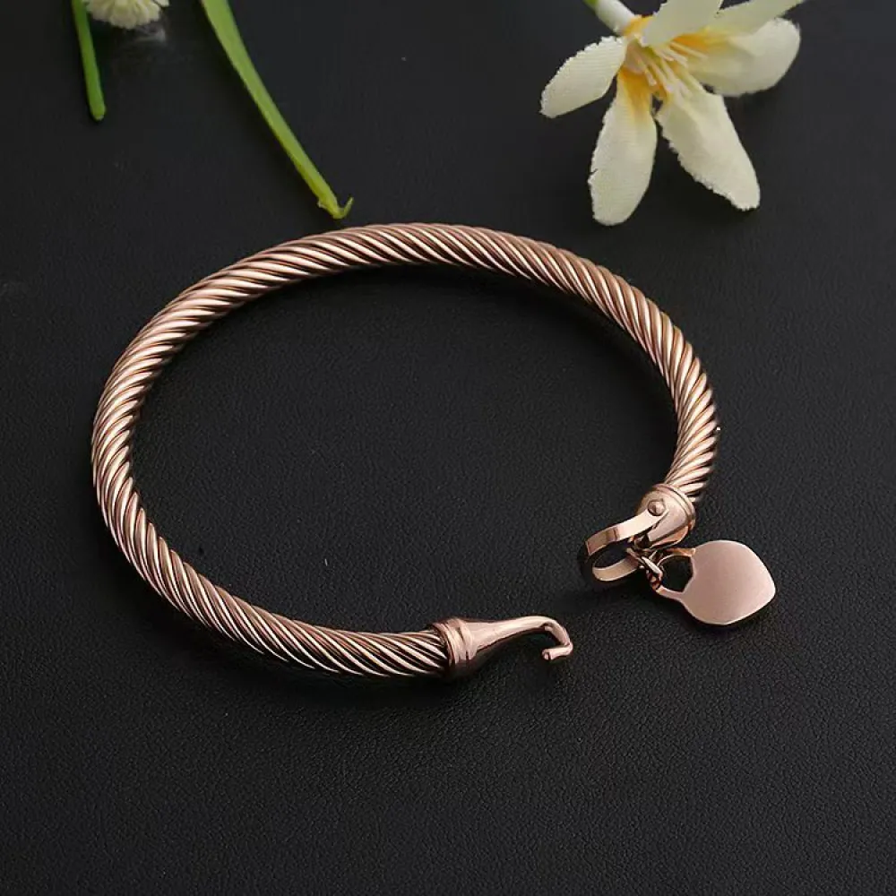 Luxury designer bracelet for women love bracelets bangle cable wire 18k gold silver rose color heart charm pendants bangles with hook closure wedding jewelry gifts