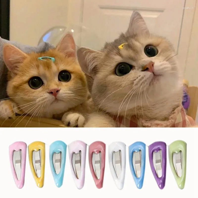 Vestuário para cães suprimentos para animais de estimação Acessórios para o desenho animado de desenho animado gato gato de gato gatinho bone pêlo clipes de moda