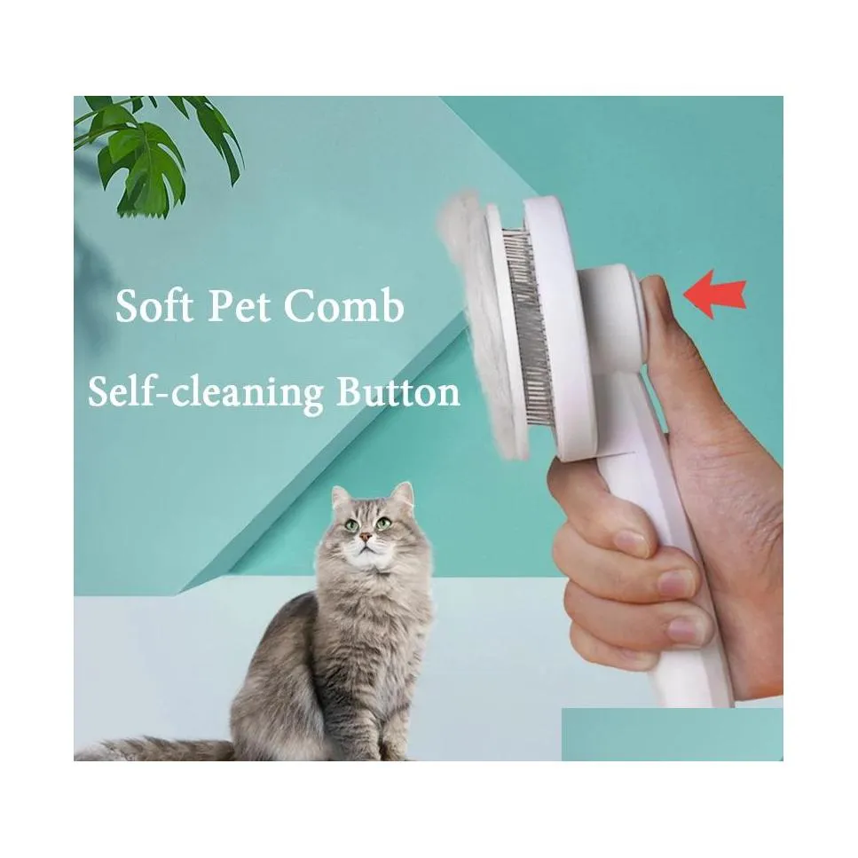 Pets at home cat grooming cheap prices