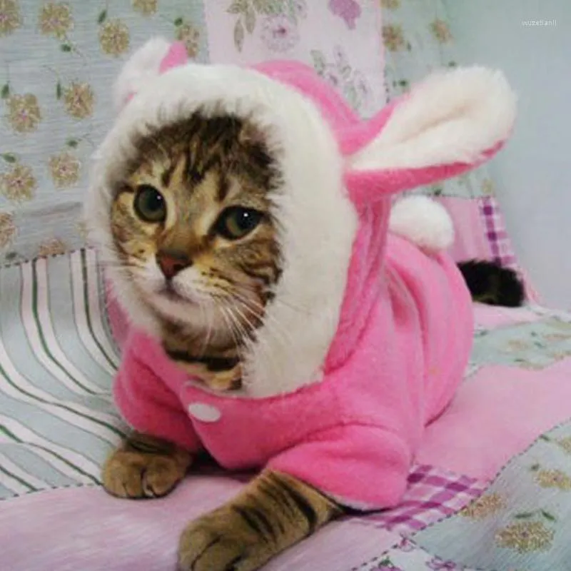 Kedi Kostümleri Sevimli Giysiler Kediler için Kış Sıcak Polar Evcil Hayvan Hoodies Noel Giyim Kitten Kitty Ceket