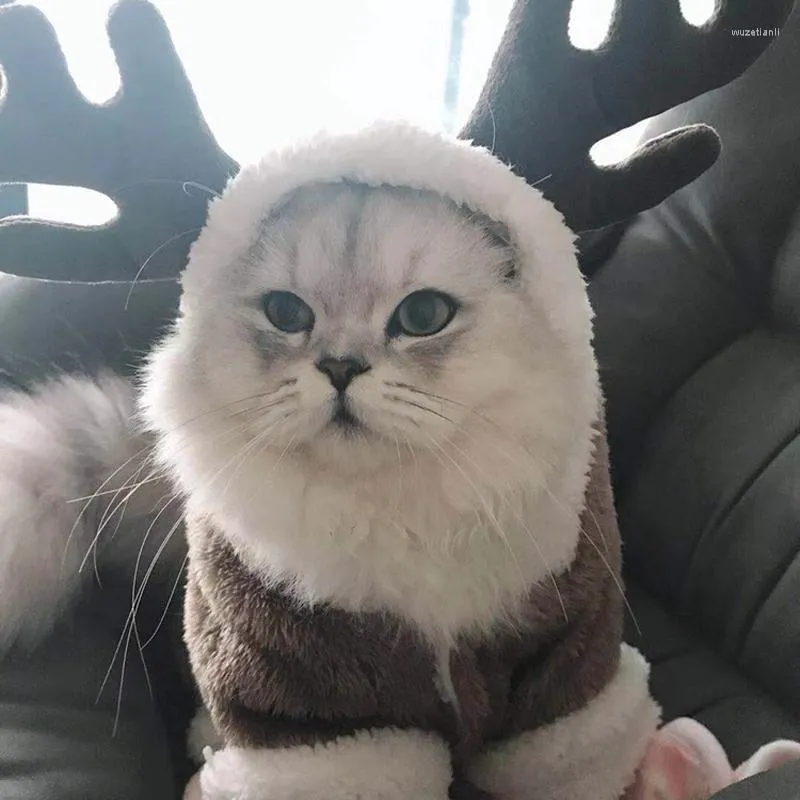 Trajes de gato de inverno engrosse roupas de estimação para gatos lã quente lã de natal gatinho gatinho sugestuits casaco jaqueta de animais de estimação