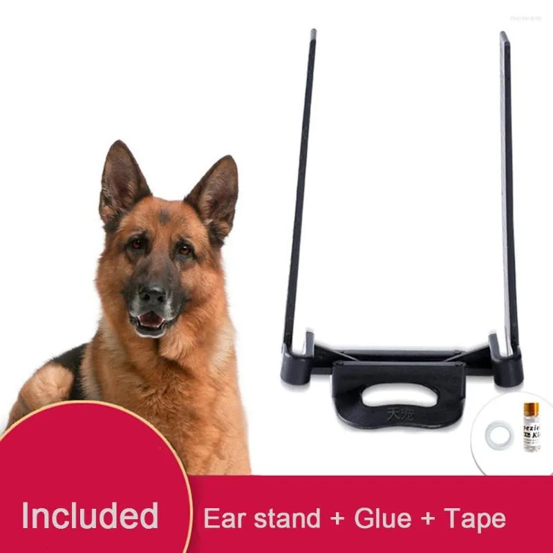 Abbigliamento per cani 1Pc Supporto per orecchie per animali domestici Strumento di correzione del supporto fisso Doberman Chihuahua Accessori verticali per cuccioli di taglia media