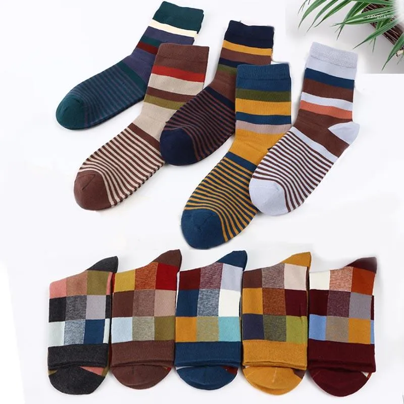 Herrensocken Mode farbenfrohe 5 Paare/Los Quadrat