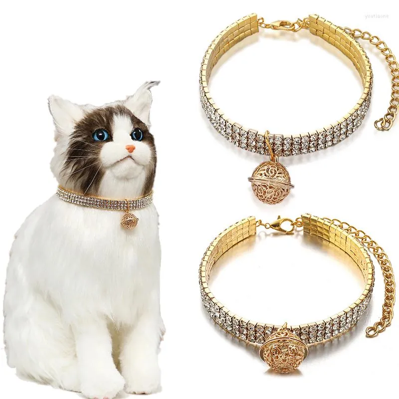 Hundkl￤der gyllene klocka lyxig blank diamant husdjur halsband kedja katt kristall k￤rlek krage levererar smycken